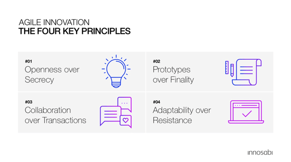 the four Principles of Agile Innovation